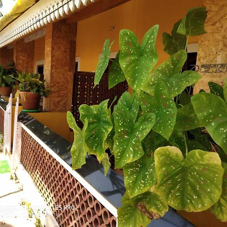 Alegro Beach Homes Palolem Exterior photo